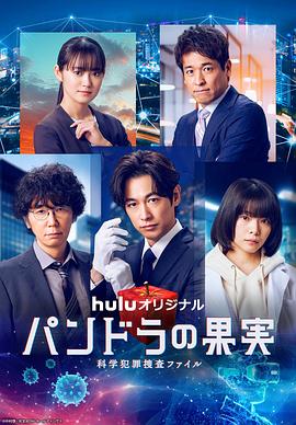 东营seo优化什么价格